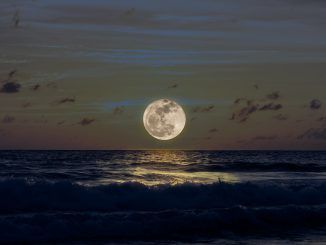 La especie humana posiblemente no existiría sin la Luna