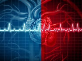 En busca del origen de las arritmias cardiacas