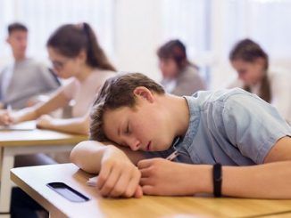 ¿Cómo afecta el horario al rendimiento de los estudiantes?