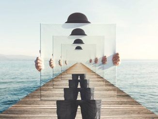 ¿Es una falacia el ideal de transparencia?