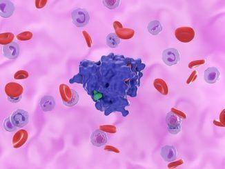 A la caza de KRAS, la proteína maldita del cáncer