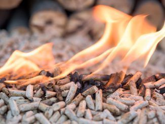 Estufas de biomasa: los nuevos ingredientes para el pélet más eficientes y baratos
