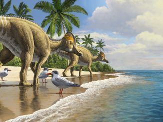 ¿Y si los dinosaurios no se hubieran extinguido? Por qué nuestro mundo podría ser muy diferente