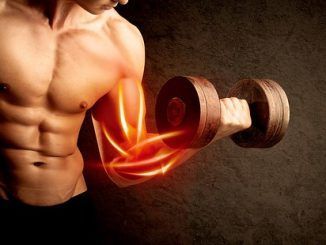 Cómo ganar músculo con un torniquete: ¿qué es el entrenamiento con restricción de flujo sanguíneo?