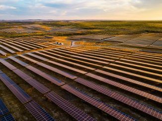 Los riesgos de acelerar la instalación de renovables a costa del medio ambiente