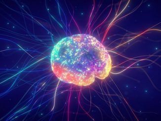 Neuroplasticidad: el extraordinario poder de nuestro cerebro para transformarse y repararse