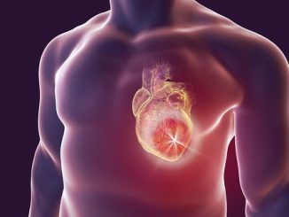 Reparando corazones: así se usa la terapia con células CAR-T contra el infarto agudo de miocardio