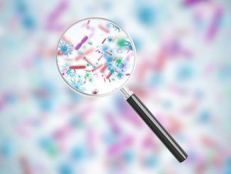 El mayor estudio para entender cómo compartimos bacterias entre nosotros