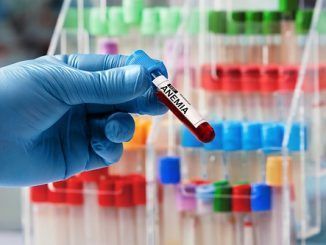 ¿Contribuyen la leche y los yogures a la anemia?