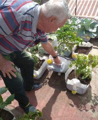 Agricultura urbana en Santiago de Cuba por mejores resultados
