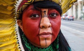 Petición a Lula da Silva para vetar una ley que devastará la Amazonia